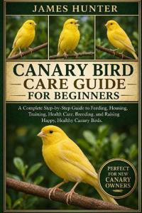 Canary Bird Care Guide for Beginners