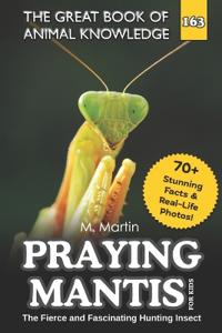 Praying Mantis for Kids