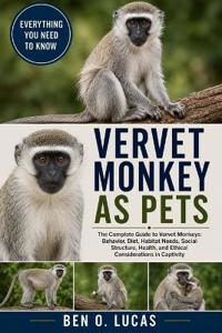 Vervet Monkey as Pets
