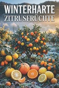 Winterharte Zitrusfrüchte