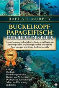 Buckelkopf-Papageifisch