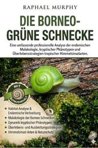 Die Borneo-Grüne Schnecke