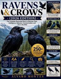Ravens & Crows (2026 Edition)