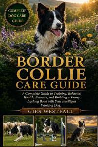 Border Collie Care Guide