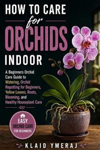 How to Care for Orchids Indoor