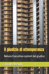 Il giudizio di ottemperanza