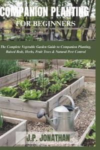 Companion Planting for Beginners