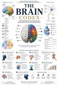 THE BRAIN CODEX