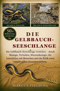 Gelbbauch-Seeschlange