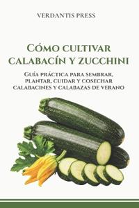 Cómo cultivar calabacín y zucchini