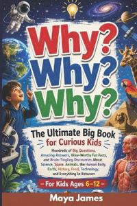 Why? Why? Why?