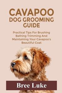 Cavapoo Dog Grooming Guide