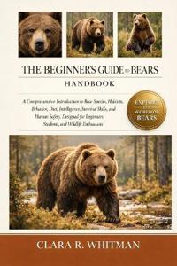 The Beginner's Guide to Bears