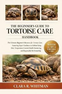The Beginner's Guide to Tortoise Care