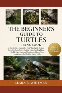 The Beginner's Guide to Turtles