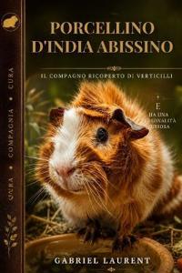 Porcellino d'India abissino