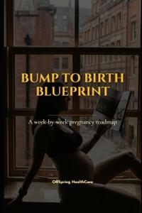 "Bump to Birth Blueprint