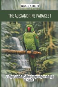 The Alexandrine Parakeet
