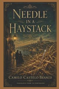 Needle in a Haystack