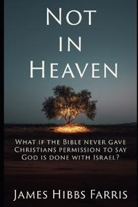 Not in Heaven
