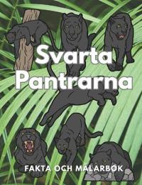 Svarta Pantrarna