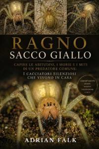 Ragno sacco giallo