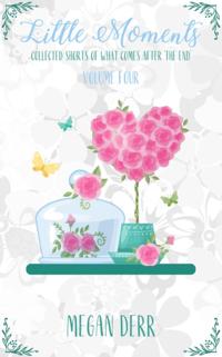 Little Moments Volume 4