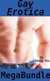 Kirjan kansi "Gay Erotica Mega Bundle"