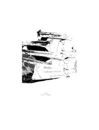Walls - Challenges of a City