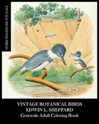 Vintage Botanical Birds