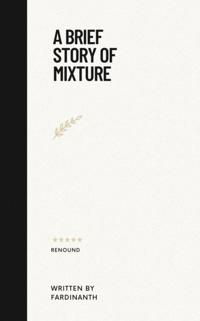 Brief Story of Mixture