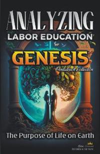 Bokomslag för "Analyzing the Education of Labor in Genesis"