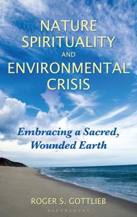 Bokomslag för "Nature Spirituality and Environmental Crisis"
