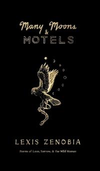 Many Moons & Motels