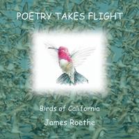 Bokomslag for "Poetry Takes Flight"