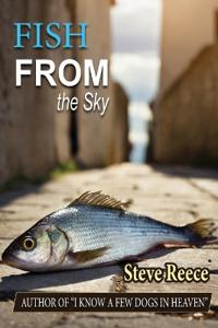 Bokomslag för "Fish From the Sky"