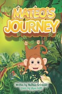 Mateo's Journey