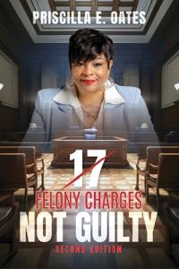Bokomslag for "17 Felony Charges"