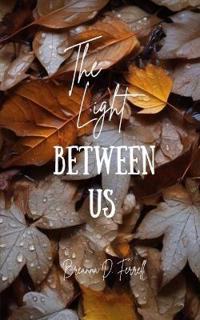 Bokomslag for "The Light Between Us"