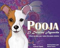 Pooja