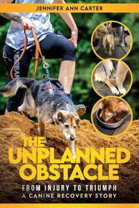 The Unplanned Obstacle
