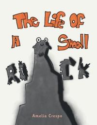 The Life of a Small Rock