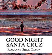 Good Night Santa Cruz