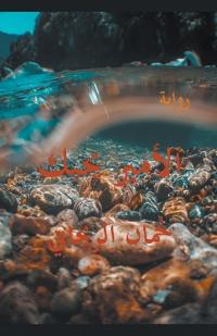 الأمير يحبك