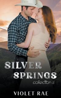 Possessive Hearts Collection 2 - A Havenstone Romance Collection