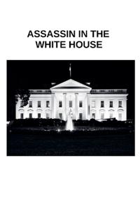 Assassin in The White House