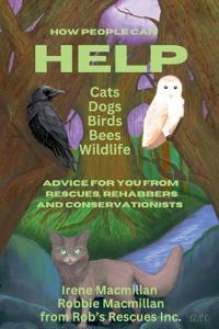 How People Can Help Cats, Dogs, Birds, Bees and Wildlife