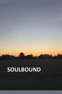 Bokomslag for "Soulbound"