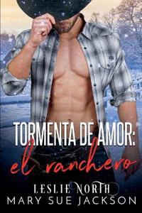Tormenta de amor