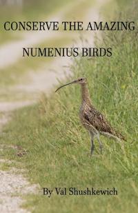 Conserve the Amazing Numenius Birds